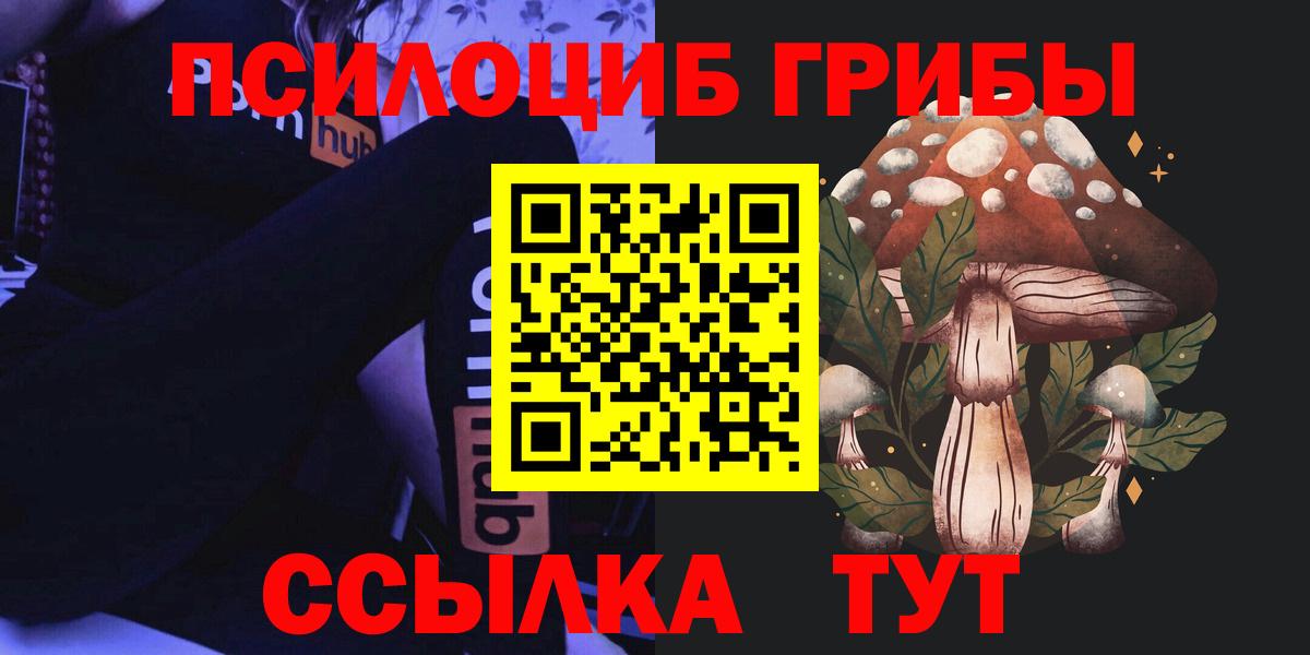 Псилоцибиновые грибы Psilocybine cubensis Кулебаки